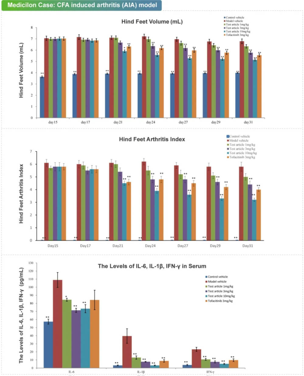 02 完全弗氏佐剂诱导的枢纽炎模子.jpg