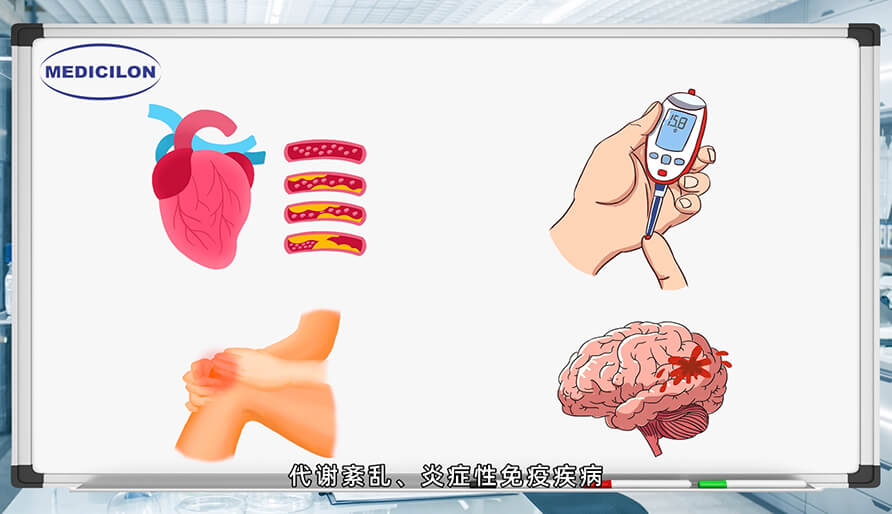 大动物模子在药物研发中的作用