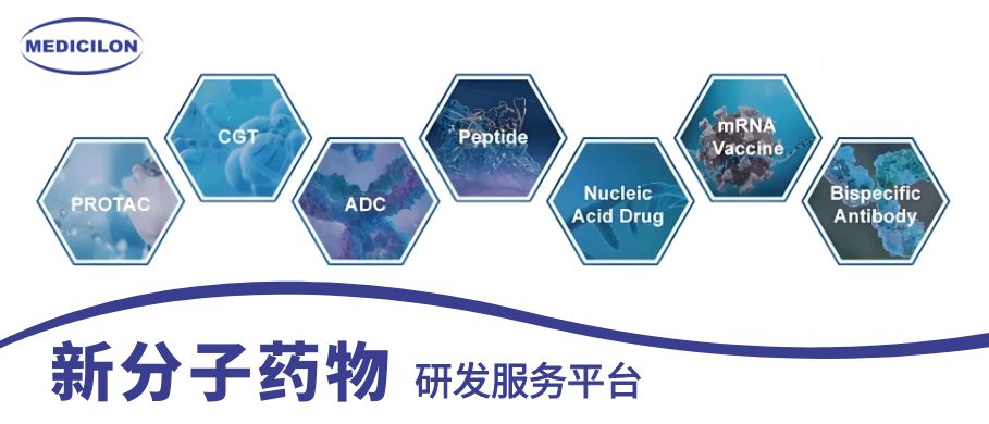 威客电竞新分子药物研发效劳平台