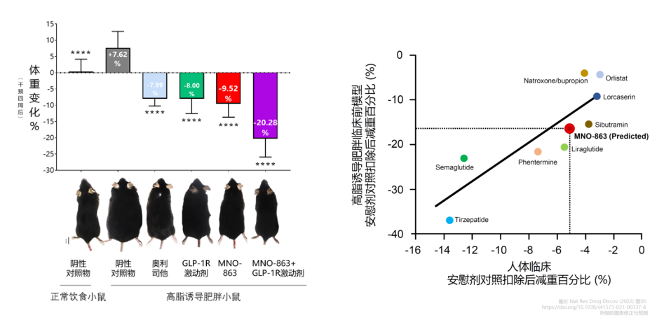4周降低近10%体重！威客电竞助力慕恩生物MNO-863活菌生物药获批临床