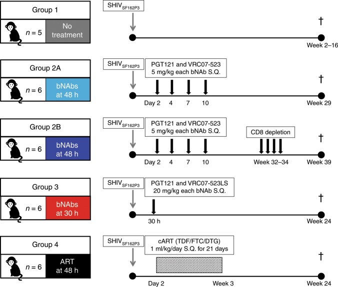 抗逆转录病毒疗法(ART)预防围产期HIV熏染，，，，，，本研究中多替拉韦钠盐和游离态均由威客电竞提供